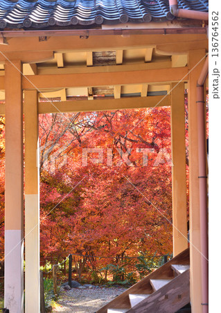 宝筐院の紅葉 136764562