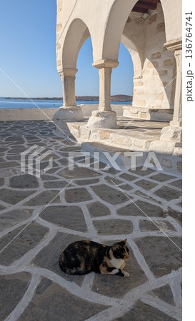 A cat lying on the cobblestone in front of ocean view white column (vertical) A cat lying on the cobblestone in front of ocean view white column (vertical) 136764741