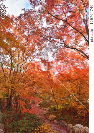 宝筐院の紅葉 宝筐院の紅葉 136764746