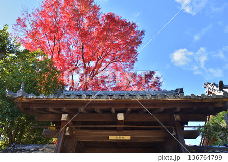 宝筐院の紅葉 宝筐院の紅葉 136764799