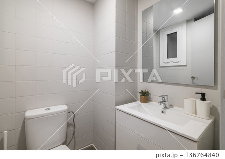 Modern bathroom with a white toilet, sink, and mirror. Neutral gray tiles cover the walls. A small plant decorates the countertop. Modern bathroom with a white toilet, sink, and mirror. Neutral gray tiles cover the walls. A small plant decorates the countertop. 136764840
