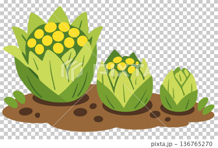 Fukinoto Fukinoto 136765270