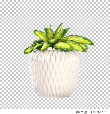 decorative flower in a pot isolate on a transparent background, 3D illustration, cg render decorative flower in a pot isolate on a transparent background, 3D illustration, cg render 136765466
