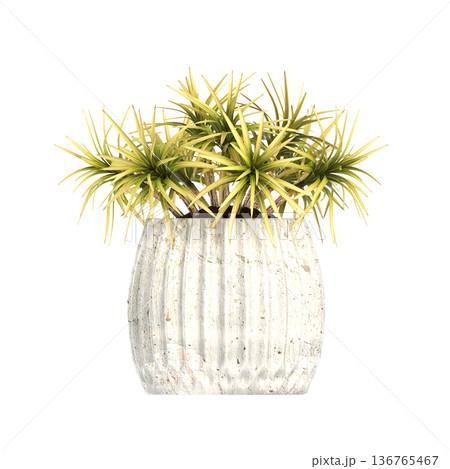 decorative flower in a pot isolate on a transparent background, 3D illustration, cg render decorative flower in a pot isolate on a transparent background, 3D illustration, cg render 136765467
