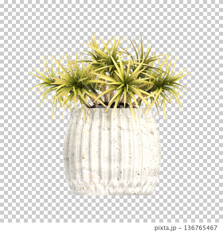 decorative flower in a pot isolate on a transparent background, 3D illustration, cg render decorative flower in a pot isolate on a transparent background, 3D illustration, cg render 136765467