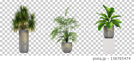decorative flower in a pot isolate on a transparent background, 3D illustration, cg render decorative flower in a pot isolate on a transparent background, 3D illustration, cg render 136765474