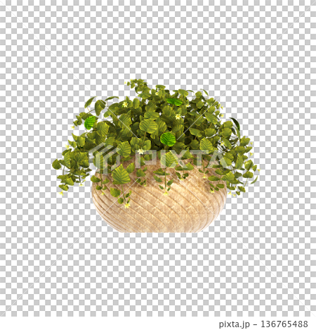 decorative flower in a pot isolate on a transparent background, 3D illustration, cg render decorative flower in a pot isolate on a transparent background, 3D illustration, cg render 136765488