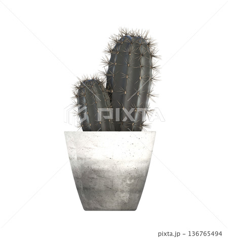 decorative flower in a pot isolate on a transparent background, 3D illustration, cg render decorative flower in a pot isolate on a transparent background, 3D illustration, cg render 136765494