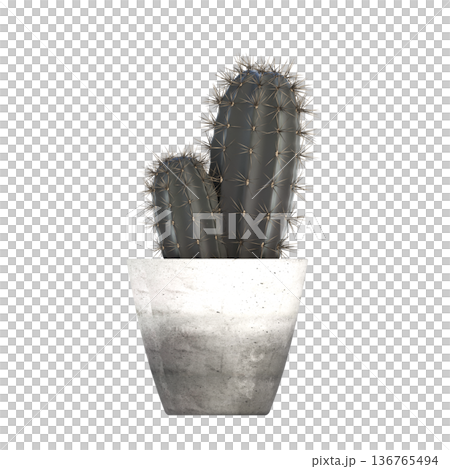 decorative flower in a pot isolate on a transparent background, 3D illustration, cg render decorative flower in a pot isolate on a transparent background, 3D illustration, cg render 136765494