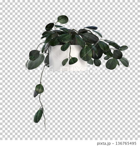decorative flower in a pot isolate on a transparent background, 3D illustration, cg render decorative flower in a pot isolate on a transparent background, 3D illustration, cg render 136765495