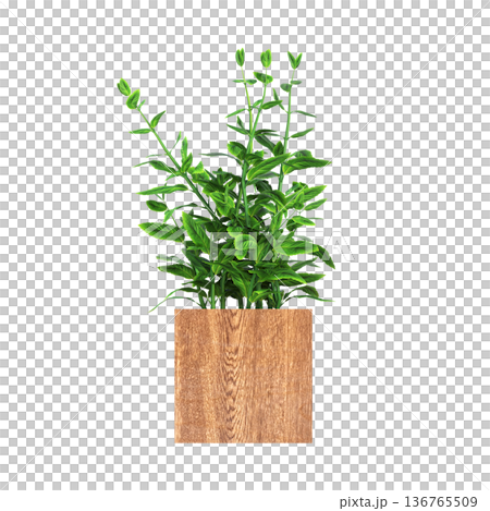 decorative flower in a pot isolate on a transparent background, 3D illustration, cg render decorative flower in a pot isolate on a transparent background, 3D illustration, cg render 136765509