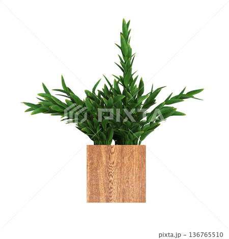 decorative flower in a pot isolate on a transparent background, 3D illustration, cg render decorative flower in a pot isolate on a transparent background, 3D illustration, cg render 136765510