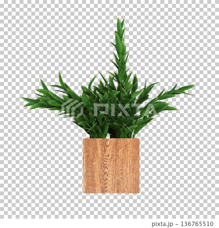 decorative flower in a pot isolate on a transparent background, 3D illustration, cg render decorative flower in a pot isolate on a transparent background, 3D illustration, cg render 136765510