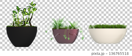 decorative flower in a pot isolate on a transparent background, 3D illustration, cg render 136765518