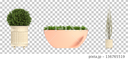 decorative flower in a pot isolate on a transparent background, 3D illustration, cg render decorative flower in a pot isolate on a transparent background, 3D illustration, cg render 136765519
