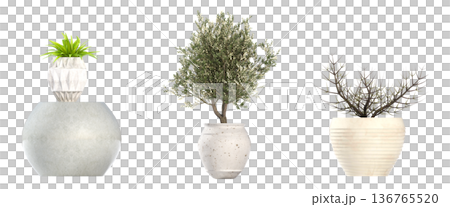 decorative flower in a pot isolate on a transparent background, 3D illustration, cg render decorative flower in a pot isolate on a transparent background, 3D illustration, cg render 136765520