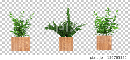 decorative flower in a pot isolate on a transparent background, 3D illustration, cg render decorative flower in a pot isolate on a transparent background, 3D illustration, cg render 136765522