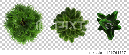 decorative flowers and plants for the interior, top view, isolated on transparent background, 3D illustration, cg render 136765537