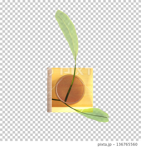 decorative flowers and plants for the interior, top view, isolated on transparent background, 3D illustration, cg render 136765560