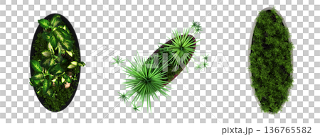 decorative flowers and plants for the interior, top view, isolated on transparent background, 3D illustration, cg render decorative flowers and plants for the interior, top view, isolated on transparent background, 3D illustration, cg render 136765582