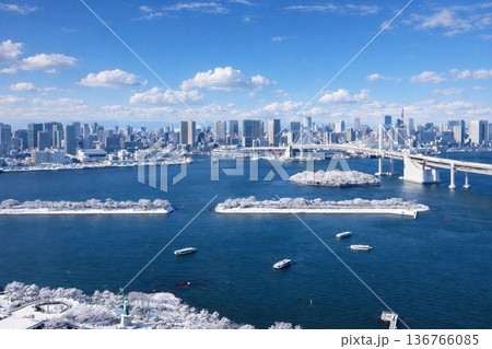 お台場海浜公園とレインボーブリッジ  雪景色 136766085