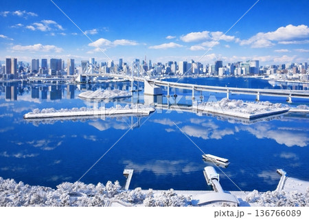 お台場海浜公園とレインボーブリッジ  雪景色 136766089