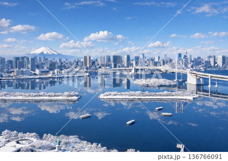 お台場海浜公園とレインボーブリッジ  雪景色 136766091