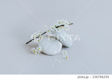 Beautiful branch with white blossom and stones on a grey background. Spring minimalistic concept. 136766295