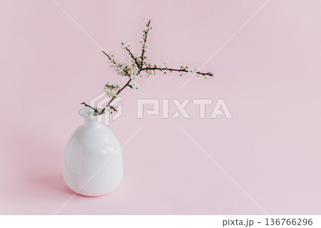 Beautiful blossom branches in a white vase on a pink pastel background. Spring minimalistic concept. 136766296