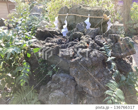 府中市の大國魂神社の境内にある「さざれ石」 府中市の大國魂神社の境内にある「さざれ石」 136766317