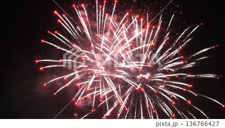Purple Firework celebrate anniversary happy new year 2024, 4th of july holiday festival. Purple firework in night time celebrate national holiday. Violet firework Countdown to new year 2024 festival 136766427