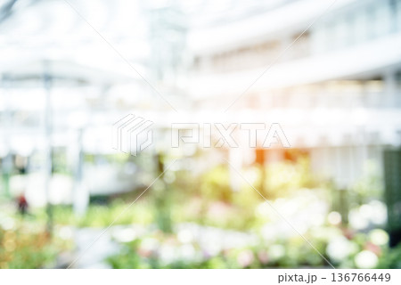 Blur background green park garden nature bright sunny forest. Blurry outdoor park in spring time glowing shinny day template with sunlight bokeh. Abstract blurred background banner copy space. 136766449