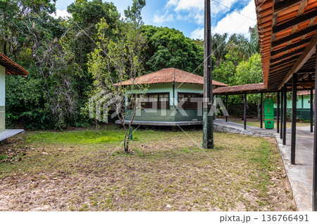 School in the middle of the amazon jungle at Soure in the Marajo Island at Para, Brazil. Tropical rain forests. Latin America. 136766491