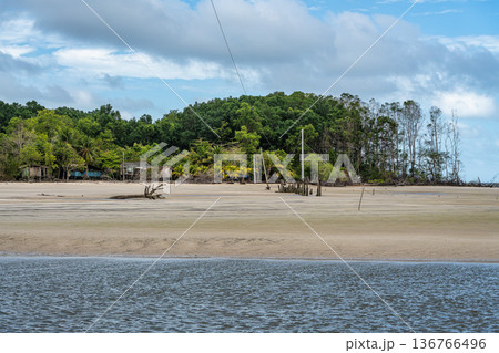 Barra velha beach at Soure, Marajo in Para, Brazil. Beautiful beach and mangrove trees with their great crooked roots Barra velha beach at Soure, Marajo in Para, Brazil. Beautiful beach and mangrove trees with their great crooked roots 136766496
