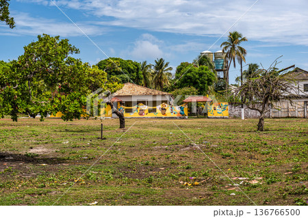 Praia do Foguinho beach at Soure, Marajo in Para, Brazil. Beautiful beach with mangrove trees and water buffalos Praia do Foguinho beach at Soure, Marajo in Para, Brazil. Beautiful beach with mangrove trees and water buffalos 136766500