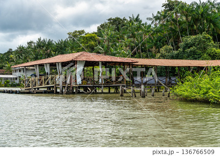 River boat tour on the Guama River at Belem do Para, a city on the north area of Brazil. 136766509