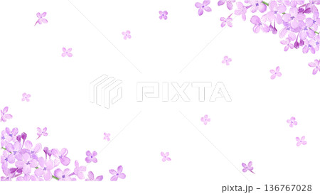 水彩で描いたライラックのフレーム素材 136767028