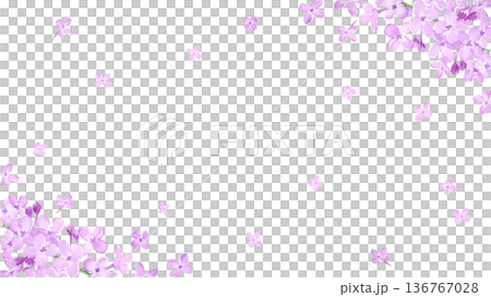 水彩で描いたライラックのフレーム素材 136767028