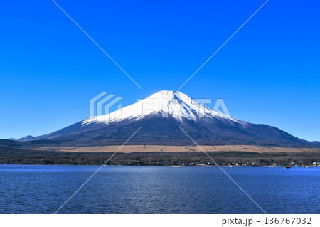山中湖畔から見た冬の富士山 山中湖畔から見た冬の富士山 136767032