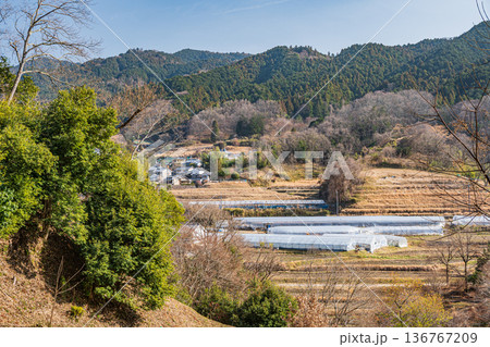 飛鳥歴史公園祝戸地区から望む阪田の棚田方面の景観　奈良県明日香村 136767209
