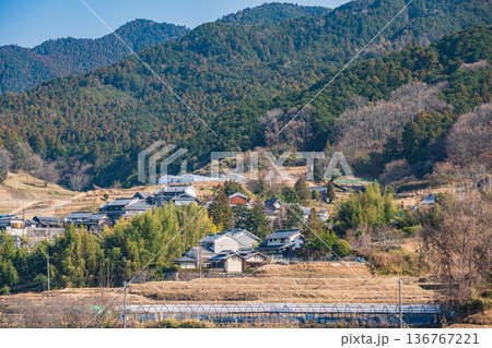 飛鳥歴史公園祝戸地区から望む阪田の棚田方面の景観　奈良県明日香村 136767221