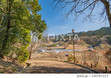 飛鳥歴史公園祝戸地区から望む阪田の棚田方面の景観 奈良県明日香村 飛鳥歴史公園祝戸地区から望む阪田の棚田方面の景観 奈良県明日香村 136767223