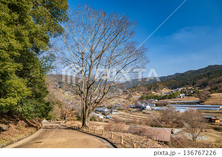 飛鳥歴史公園祝戸地区から望む阪田の棚田方面の景観 奈良県明日香村 飛鳥歴史公園祝戸地区から望む阪田の棚田方面の景観 奈良県明日香村 136767226