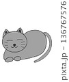 のんびり寝そべっている灰色猫 136767576