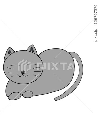 のんびり寝そべっている灰色猫 のんびり寝そべっている灰色猫 136767576