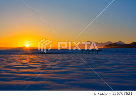朝焼けの雪原のハサ木・越後三山冬景色夜明け 136767621