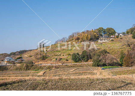 阪田の棚田から里山を望む　奈良県明日香村 136767775