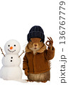 雪中の子リス 136767779