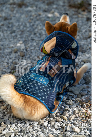 手作りの犬の服 手作りの犬の服 136767801