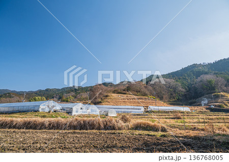 明日香村の景勝地 阪田の棚田 奈良県 明日香村の景勝地 阪田の棚田 奈良県 136768005